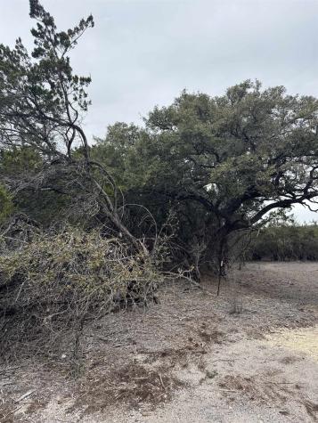 20204 Lewis Cove Lago Vista TX 78645