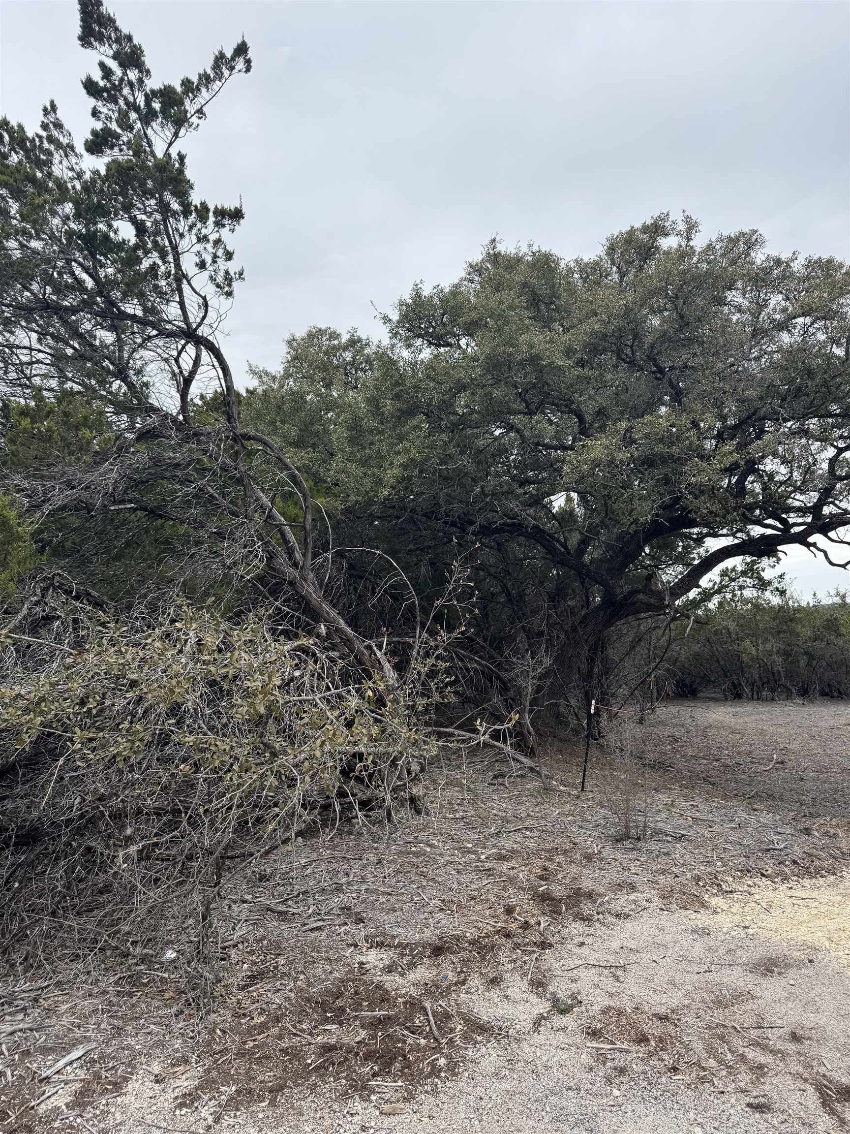 20204 Lewis Cove Lago Vista TX 78645