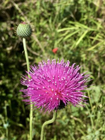 1603 Twin Sisters Horseshoe Bay TX 78657