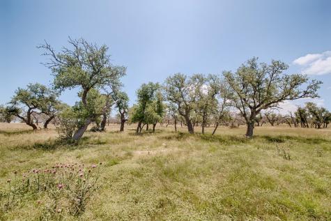 Lot 93 Stock Pond Drive Harper TX 78631
