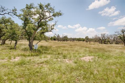 Lot 93 Stock Pond Drive Harper TX 78631