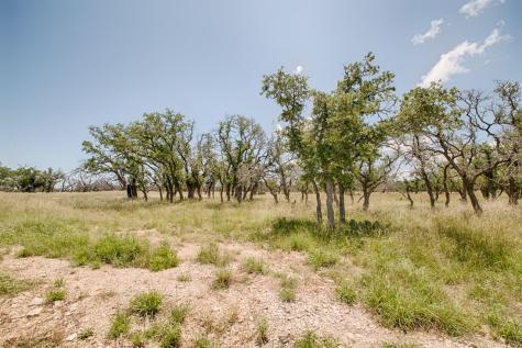 Lot 93 Stock Pond Drive Harper TX 78631