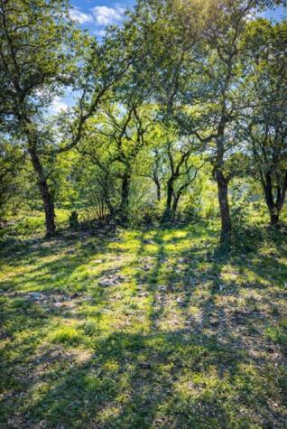 Lt 45009 Scarlet Sun Horseshoe Bay TX 78657