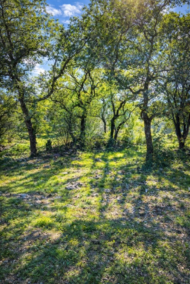 Lt 45009 Scarlet Sun Horseshoe Bay TX 78657