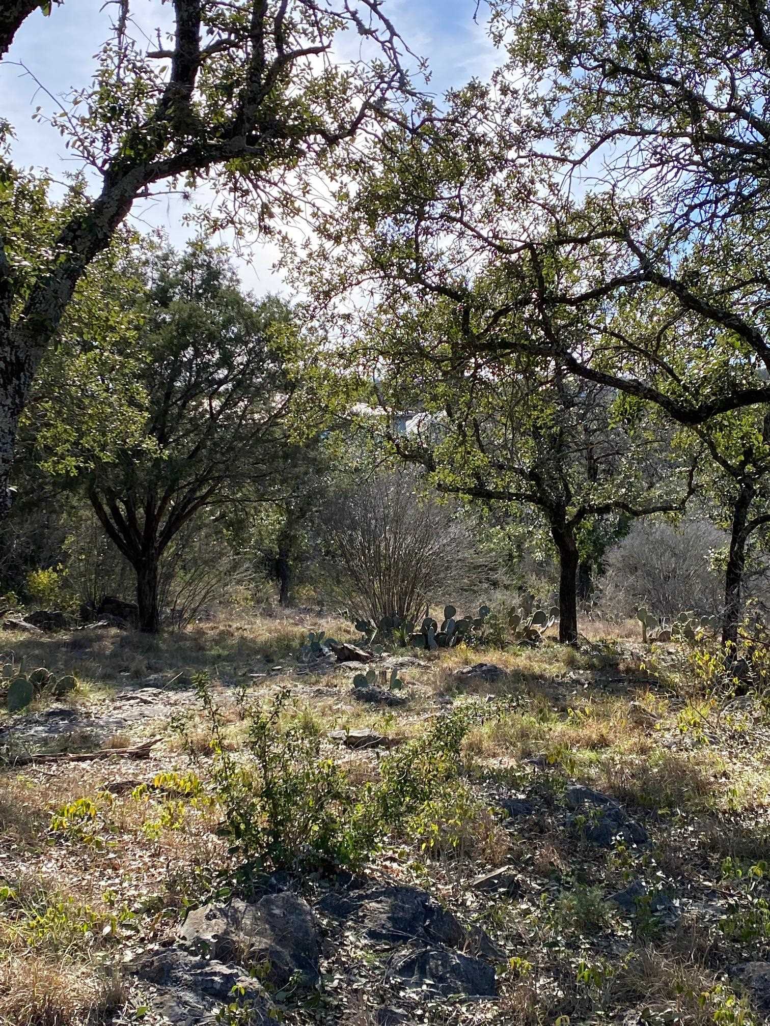 Lt 45009 Scarlet Sun Horseshoe Bay TX 78657