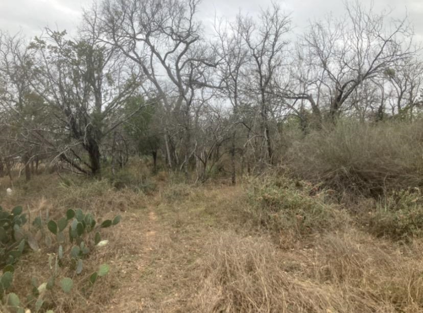 Cedarhill Granite Shoals TX 78654