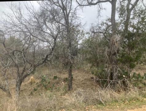 Cedarhill Granite Shoals TX 78654