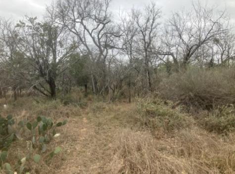 Cedarhill Granite Shoals TX 78654