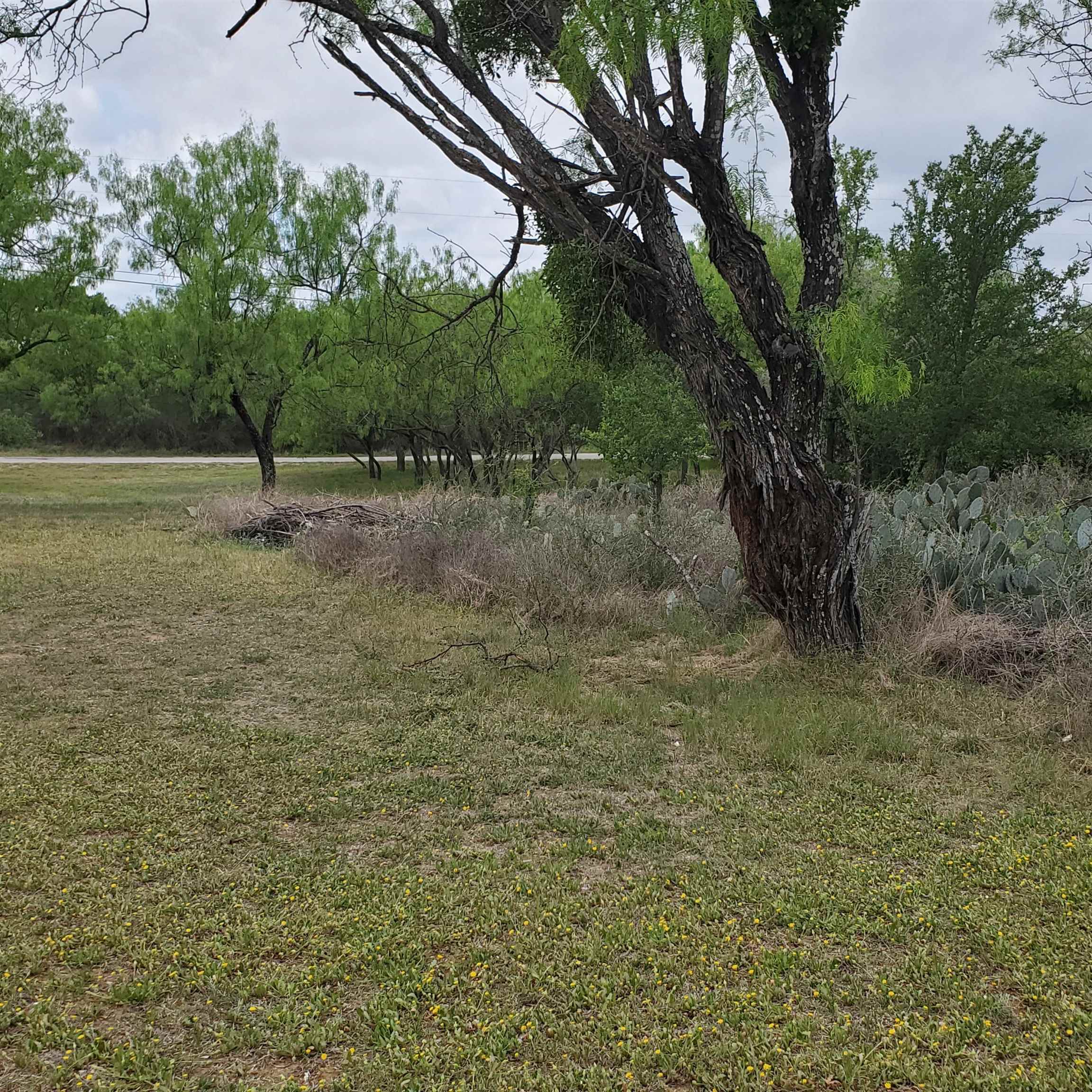 Lot 661 & 662 Norwood Drive Granite Shoals TX 78654