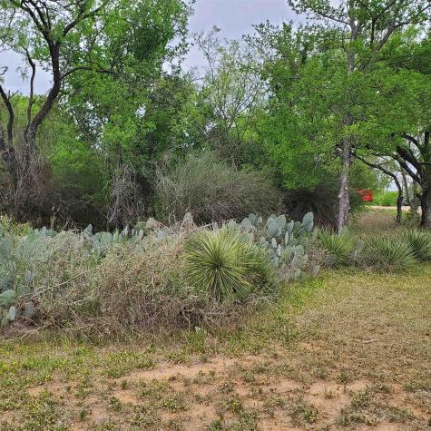 Lot 661 & 662 Norwood Drive Granite Shoals TX 78654