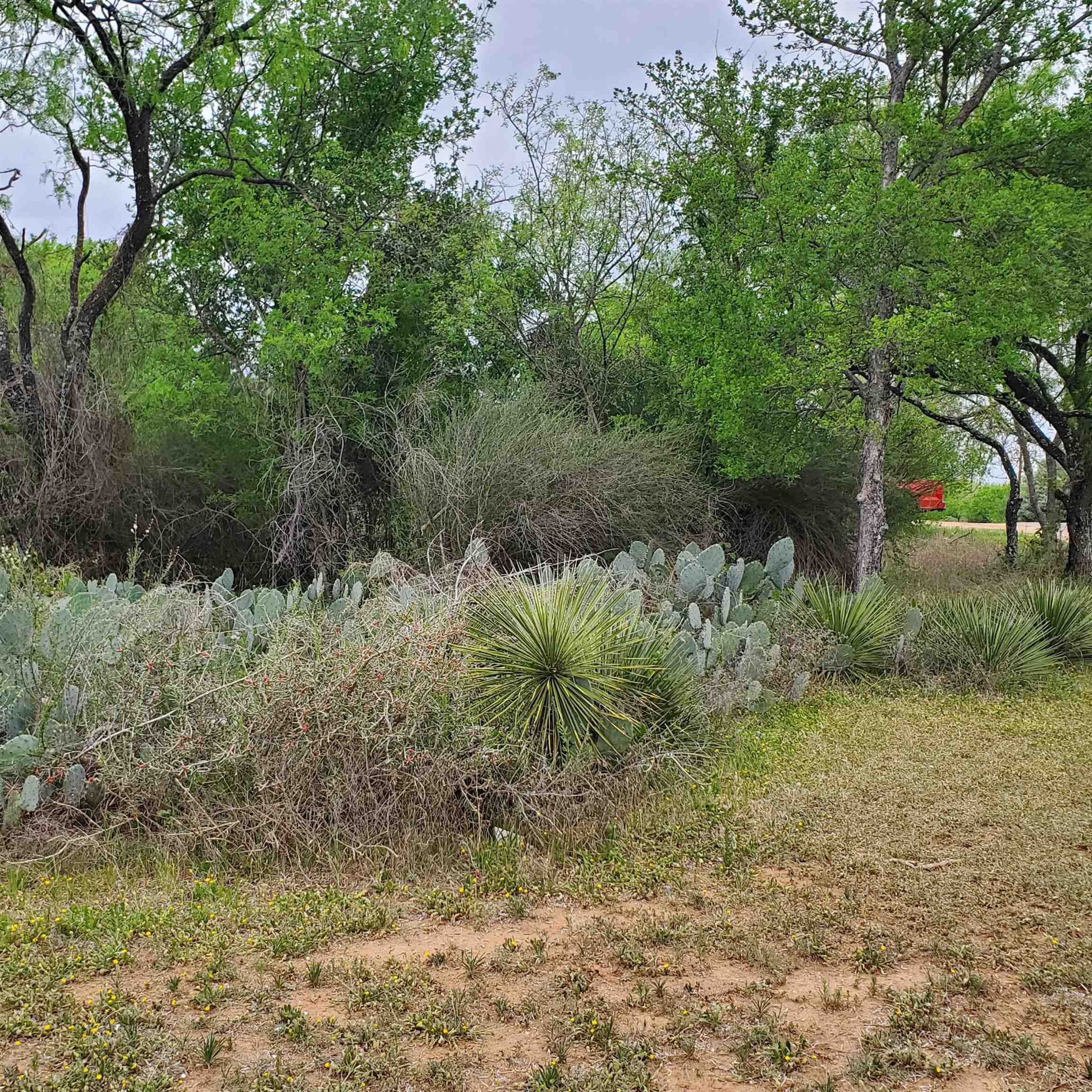 Lot 661 & 662 Norwood Drive Granite Shoals TX 78654