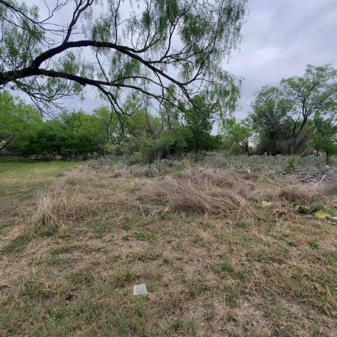 Lot 661 & 662 Norwood Drive Granite Shoals TX 78654
