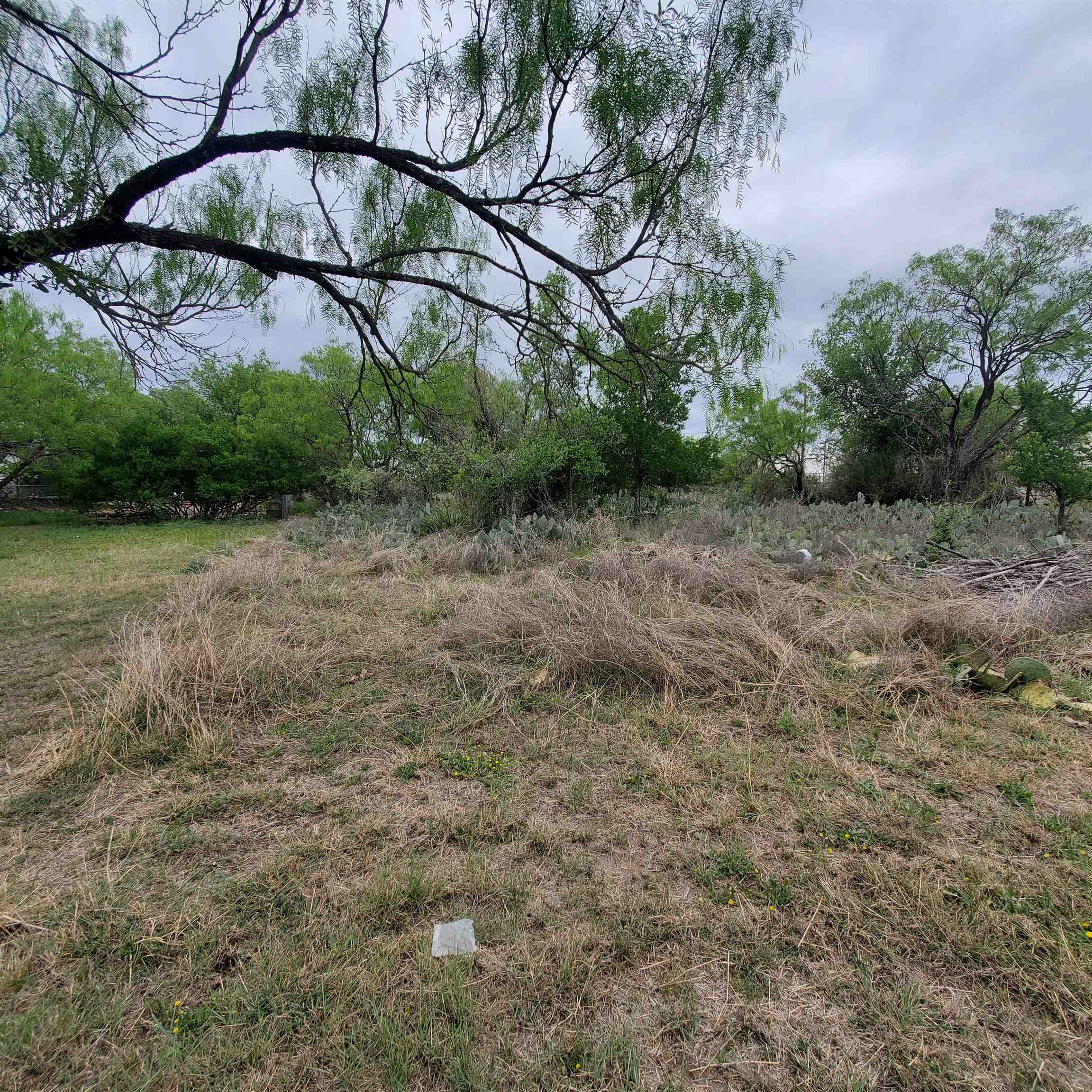 Lot 661 & 662 Norwood Drive Granite Shoals TX 78654