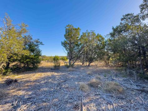 Lot 44 Mountain Laurel Lane Spicewood TX 78669