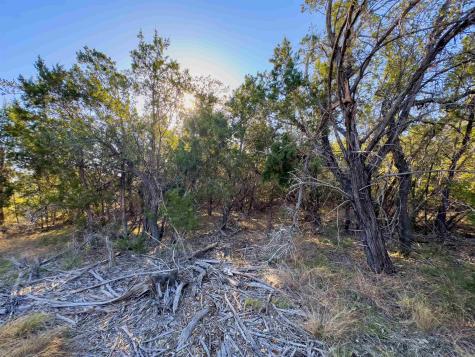 Lot 44 Mountain Laurel Lane Spicewood TX 78669