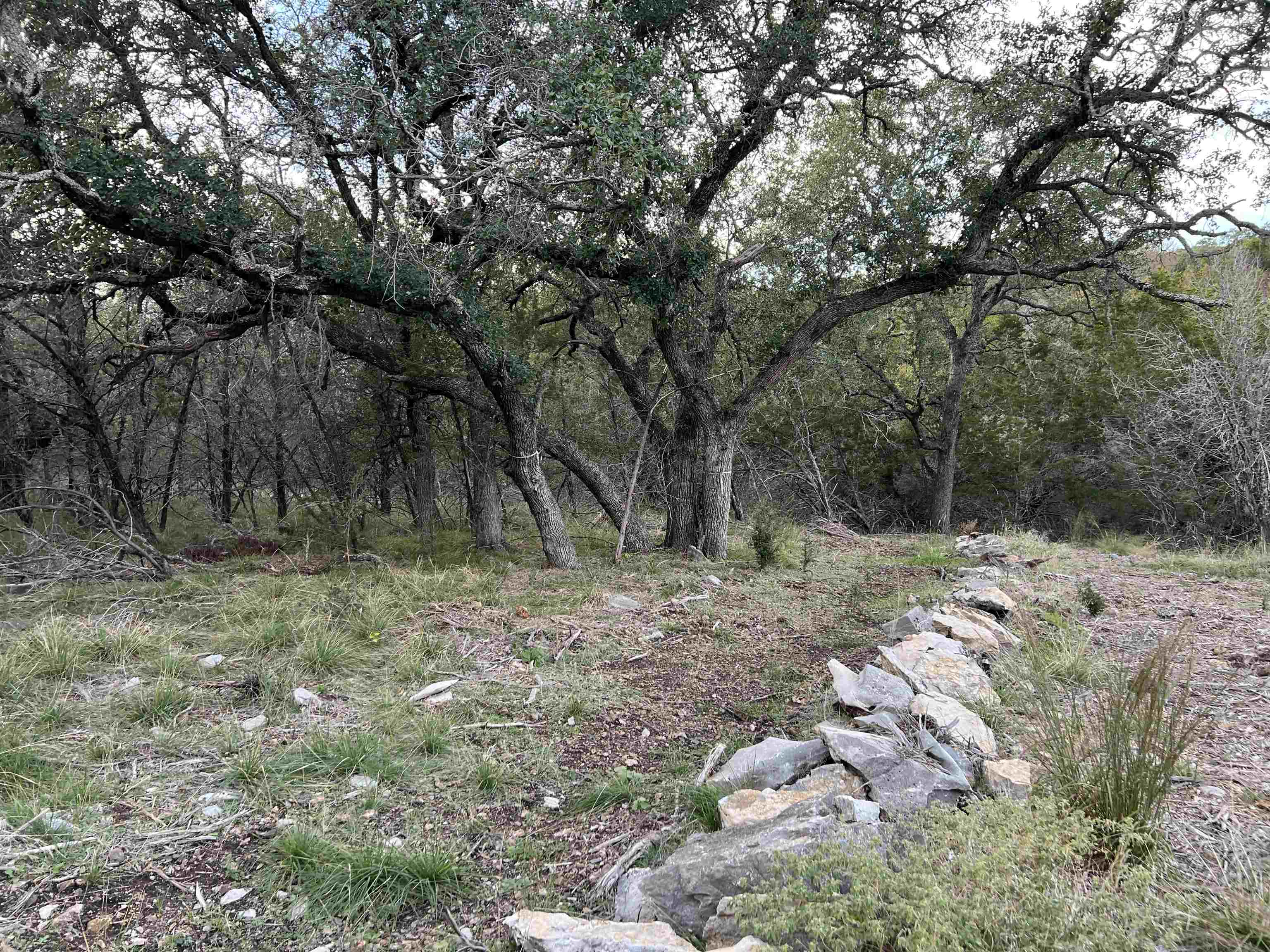 106 Ponderosa Circle Horseshoe Bay TX 78657