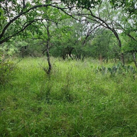 Lots 521, 522 Lake Drive Granite Shoals TX 78964