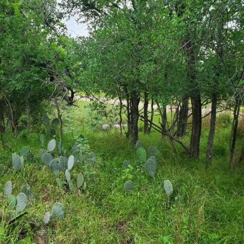 Lots 521, 522 Lake Drive Granite Shoals TX 78964
