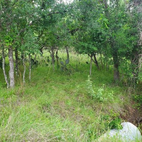 Lots 521, 522 Lake Drive Granite Shoals TX 78964