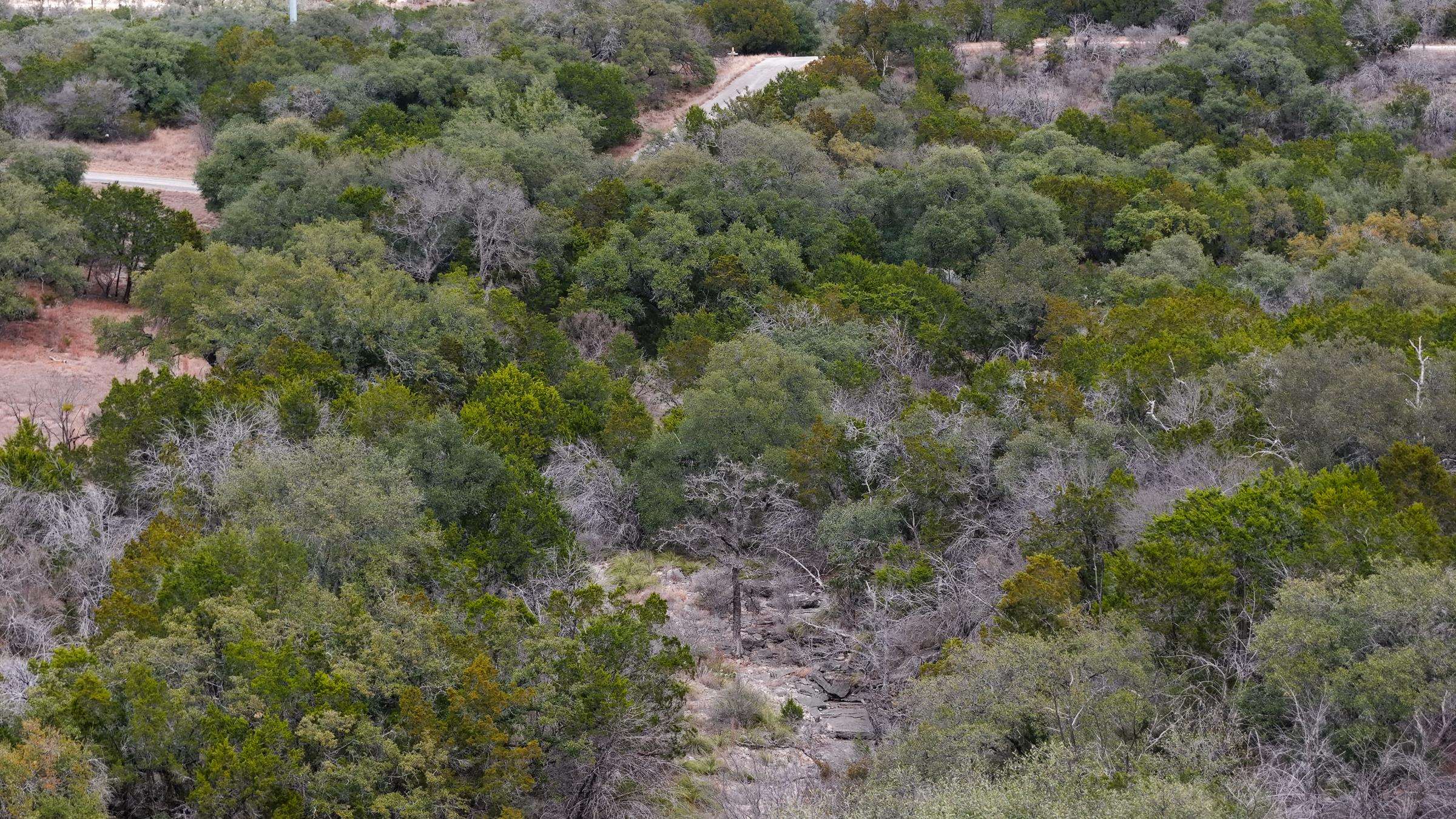 Tbd Mountain Dew Horseshoe Bay TX 78657