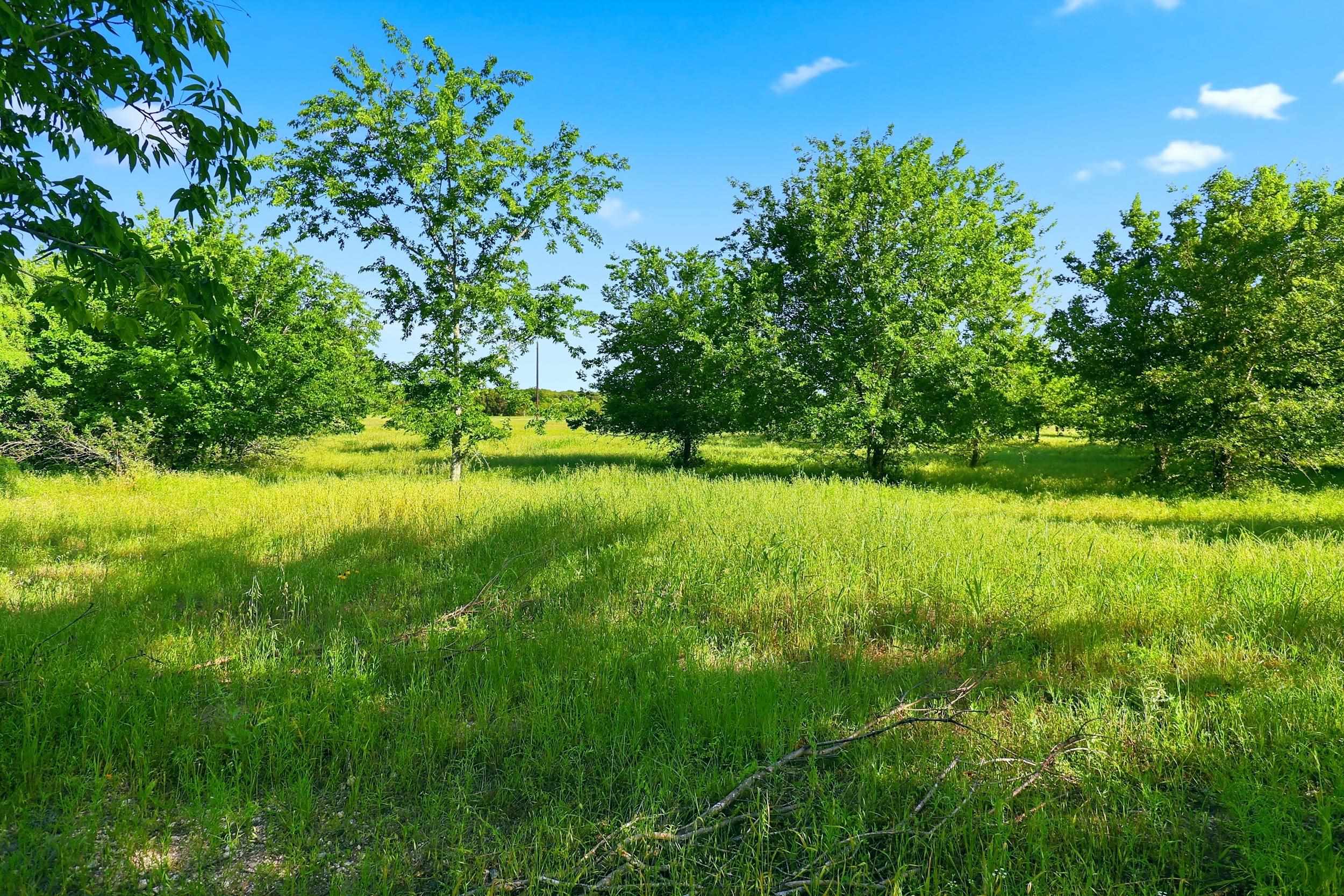 211 Cr 204 Burnet TX 78611
