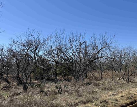 Lot 102 Ridgemont Drive Kingsland TX 78639