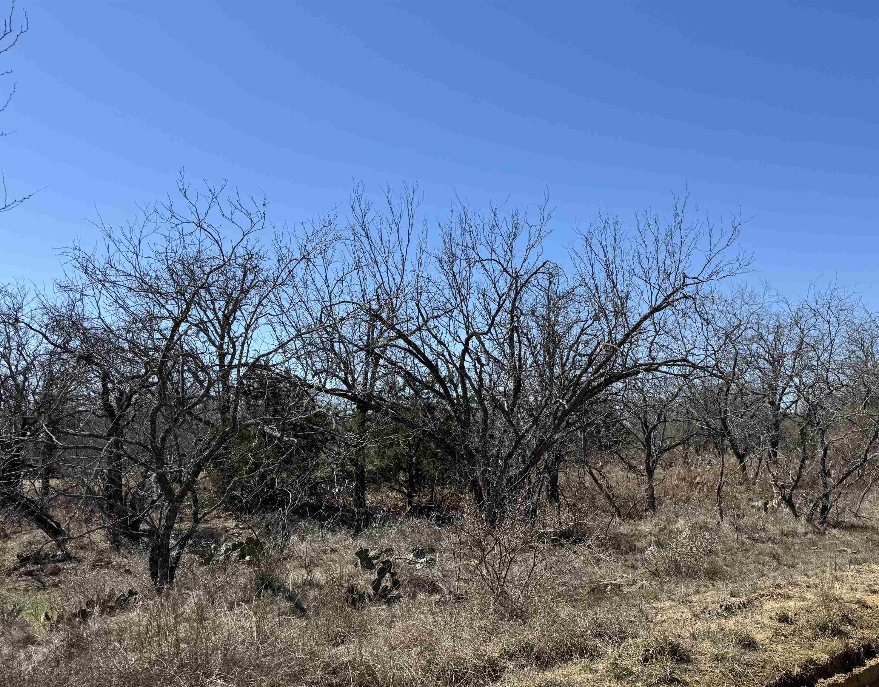 Lot 102 Ridgemont Drive Kingsland TX 78639