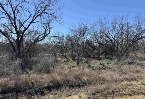 Lot 102 Ridgemont Drive Kingsland TX 78639