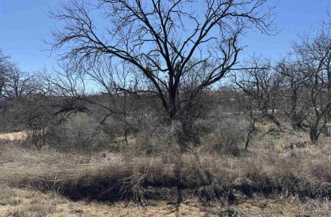 Lot 102 Ridgemont Drive Kingsland TX 78639