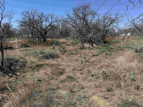 Lot 102 Ridgemont Drive Kingsland TX 78639