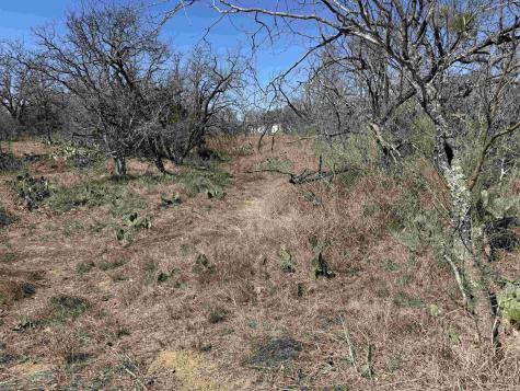 Lot 102 Ridgemont Drive Kingsland TX 78639