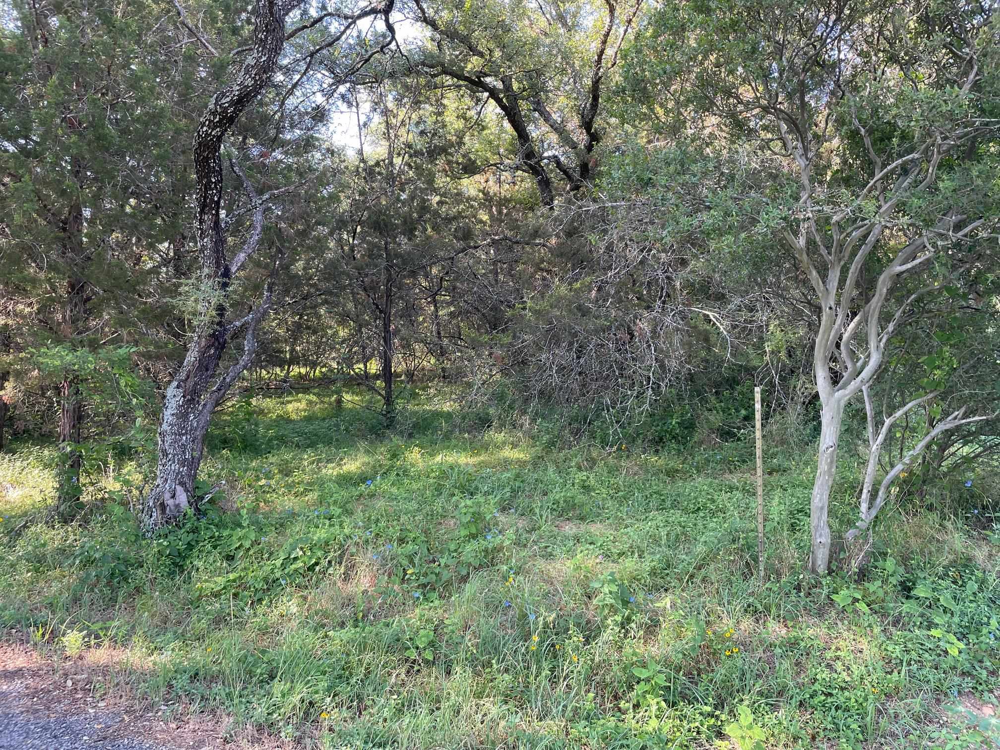 Lot 423 Indian Summer Spicewood TX 78669
