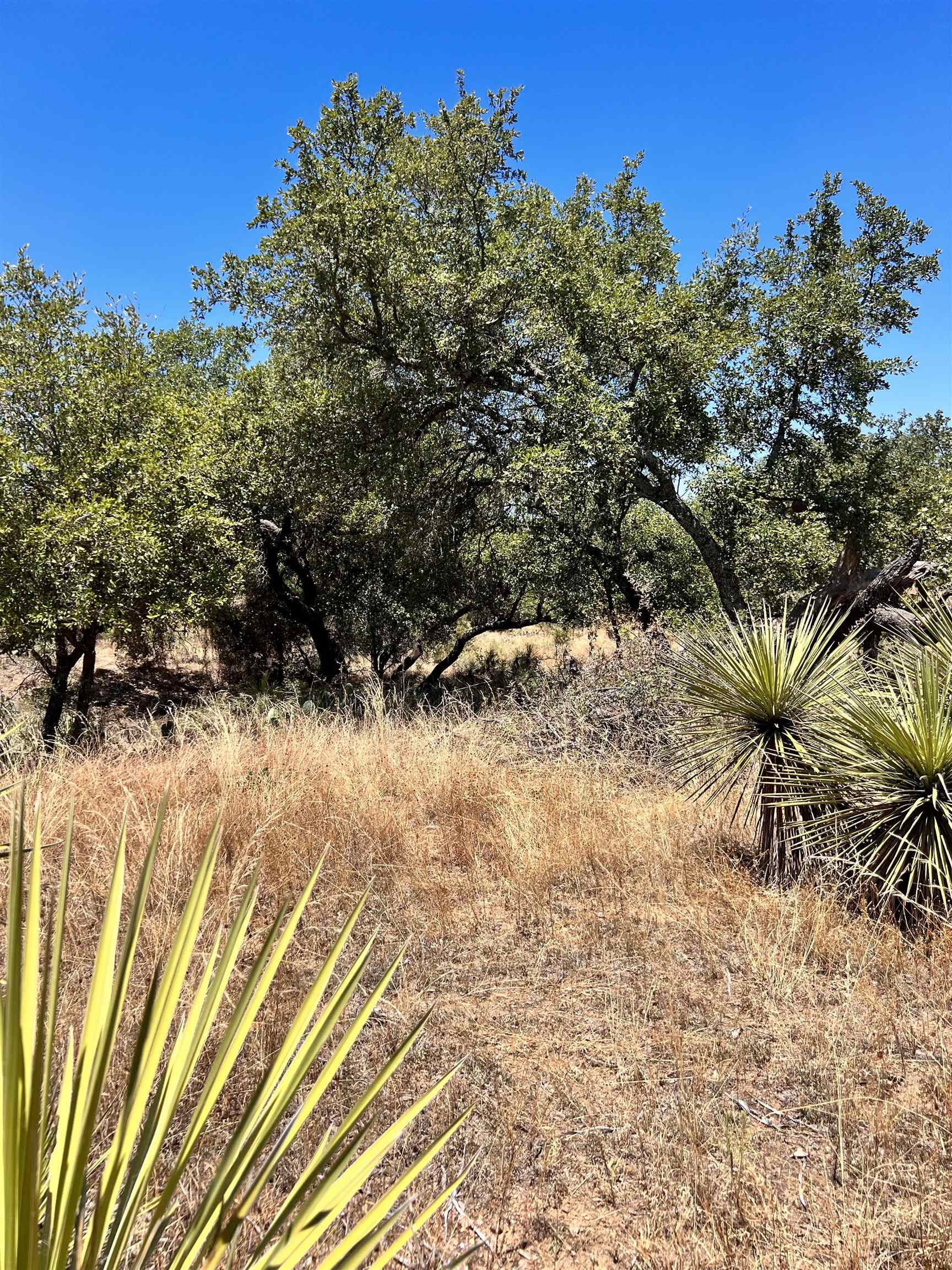 Lot 323 Tbd W. Castlebriar Drive Granite Shoals TX 78654