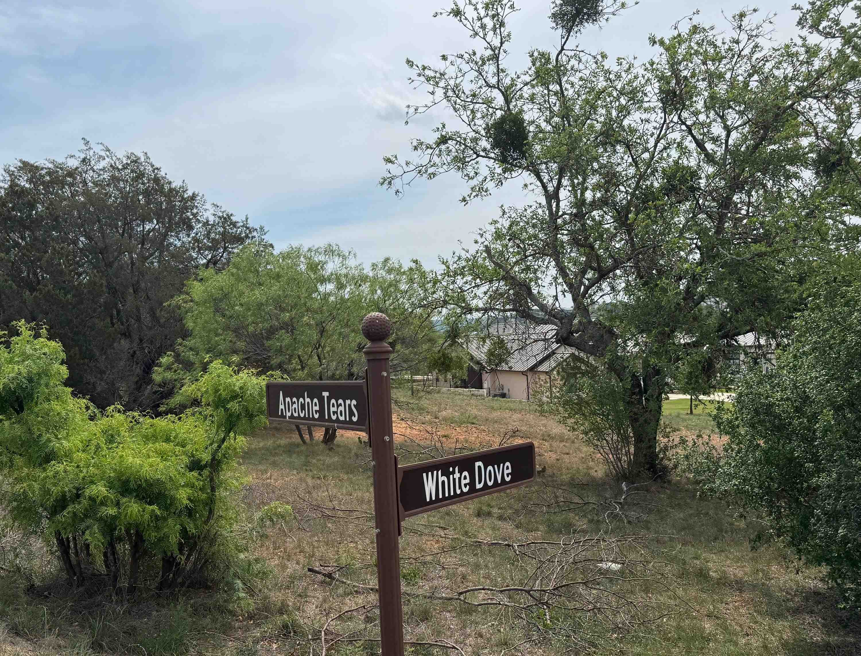 Lot W25002 Apache Tears Horseshoe Bay TX 78657