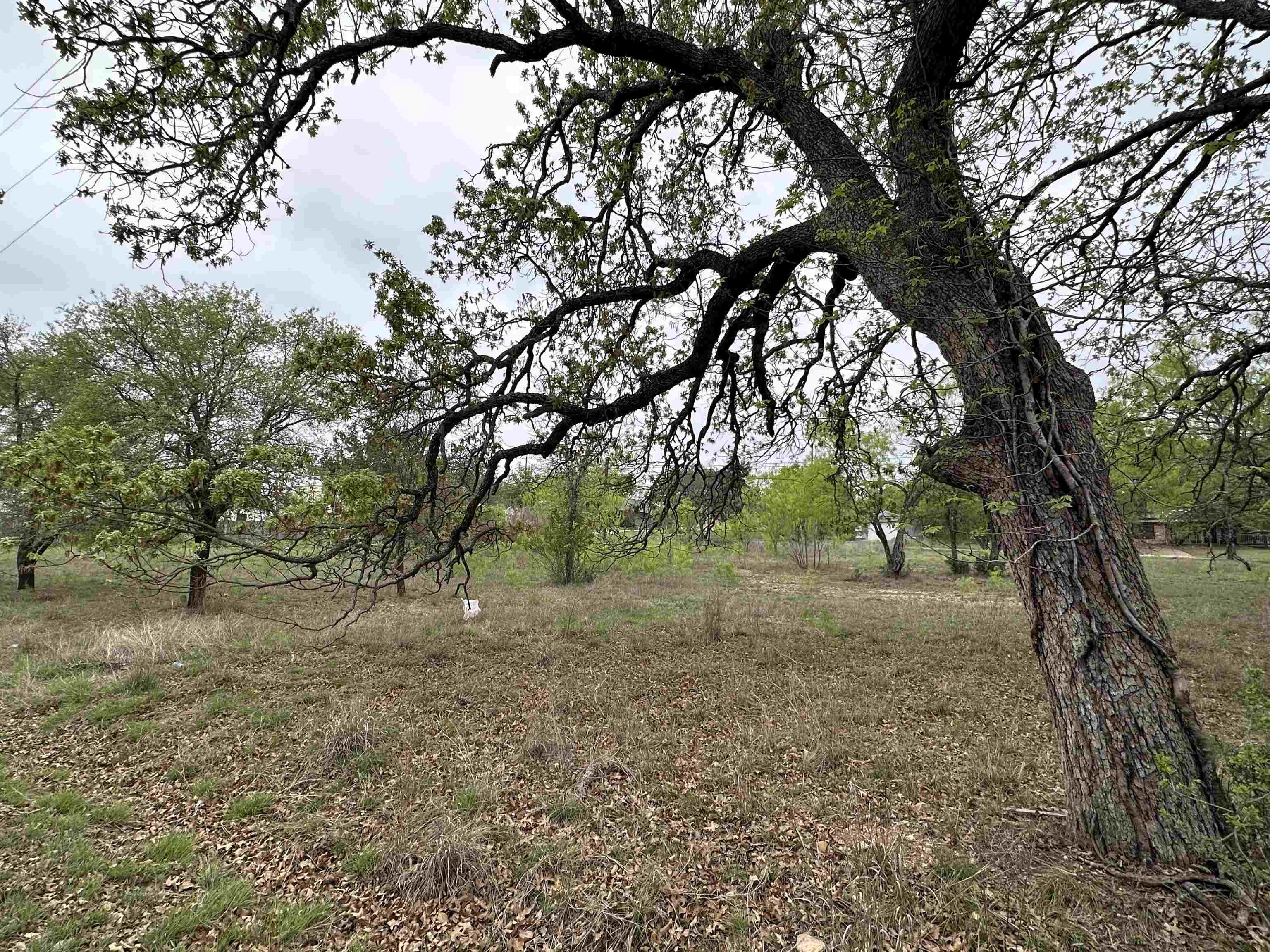 Lot 160 Driftwood Lane Cottonwood Shores TX 78657