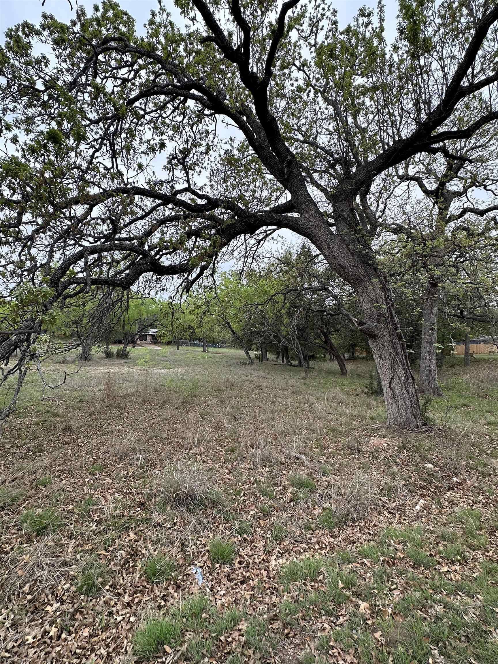 Lot 160 Driftwood Lane Cottonwood Shores TX 78657