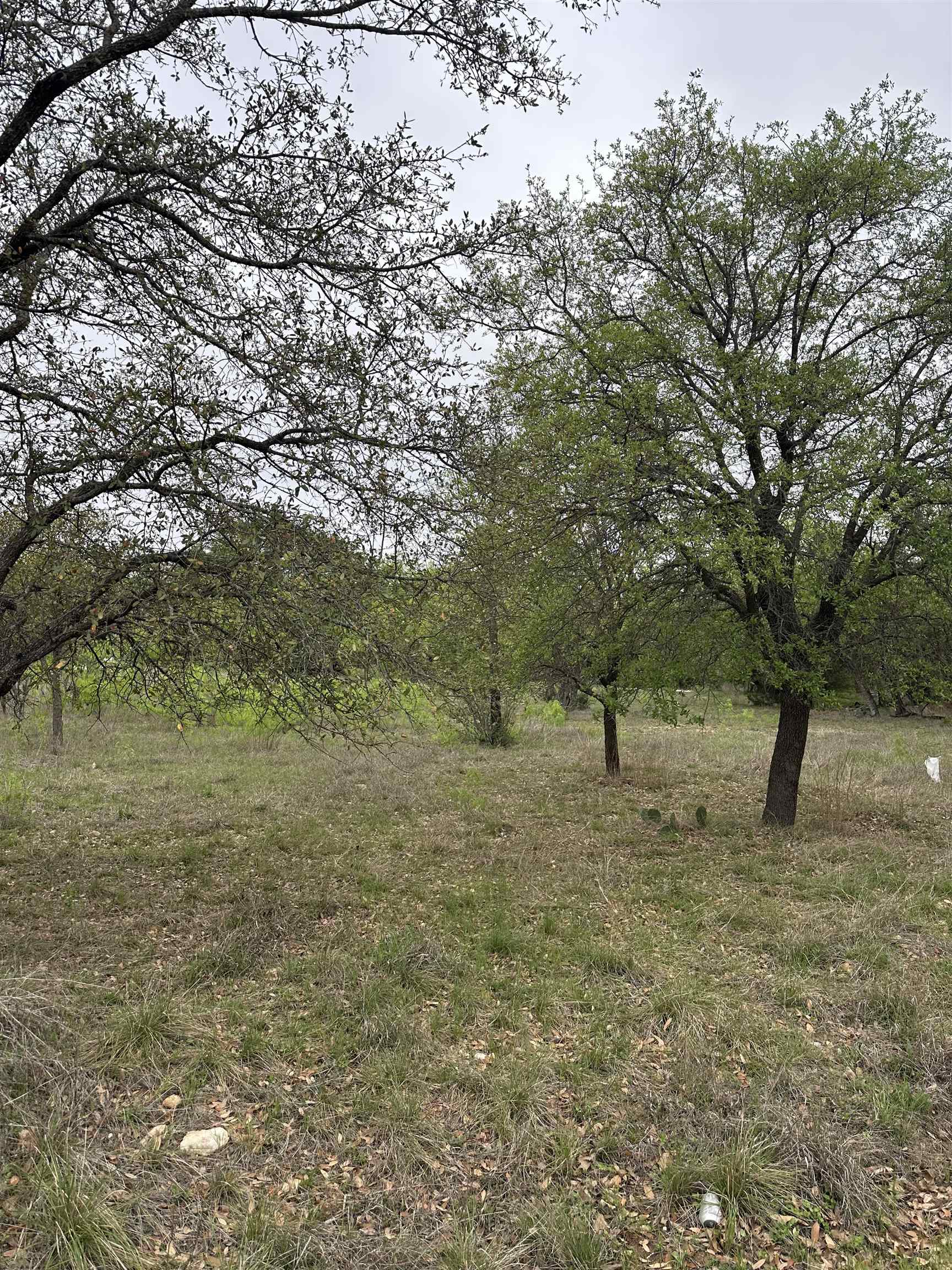 Lot 160 Driftwood Lane Cottonwood Shores TX 78657