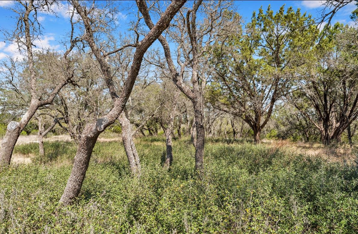 Tbd Rocky Hollow Lot 89 San Saba TX 78677