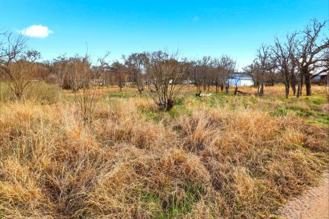 1304 Shady Forest Drive Granite Shoals TX 78654