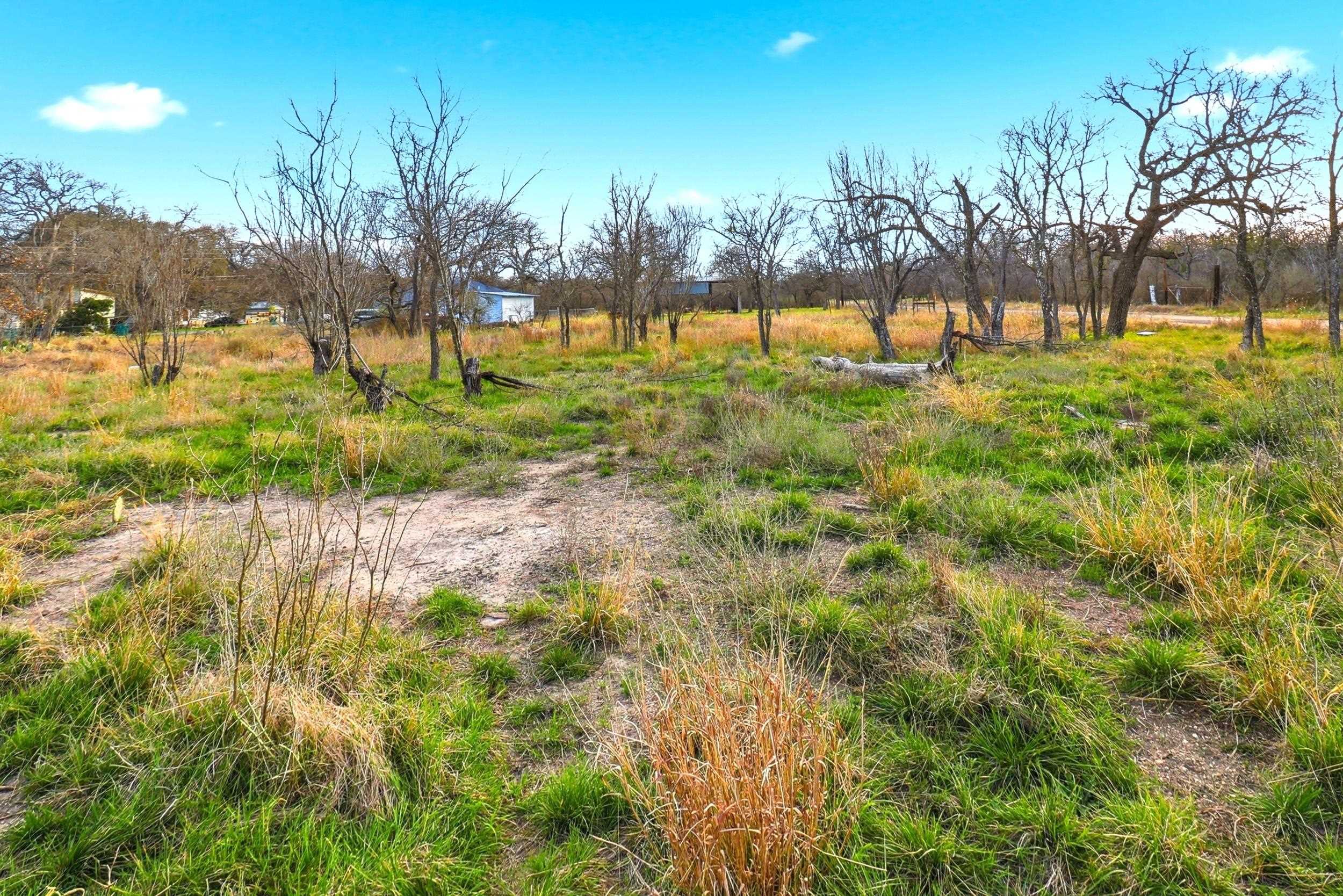 1304 Shady Forest Drive Granite Shoals TX 78654