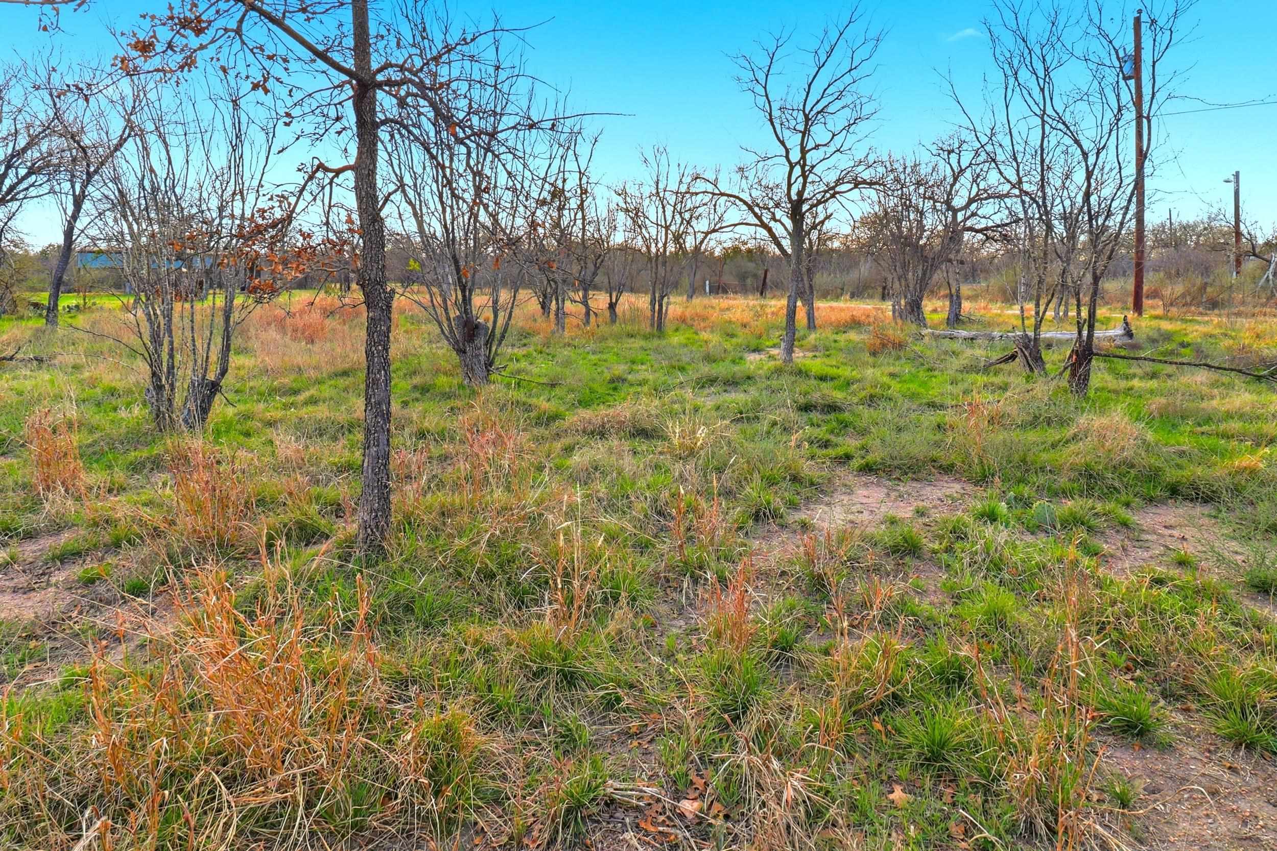 1304 Shady Forest Drive Granite Shoals TX 78654