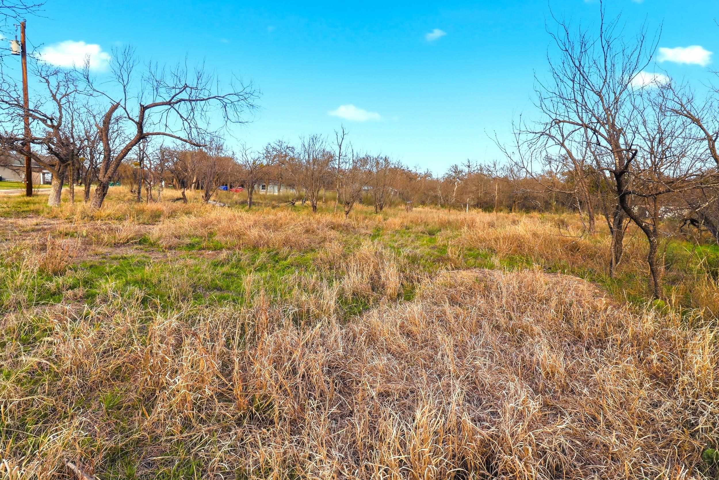 1304 Shady Forest Drive Granite Shoals TX 78654