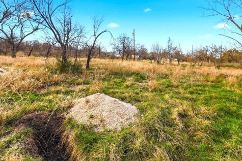 1304 Shady Forest Drive Granite Shoals TX 78654