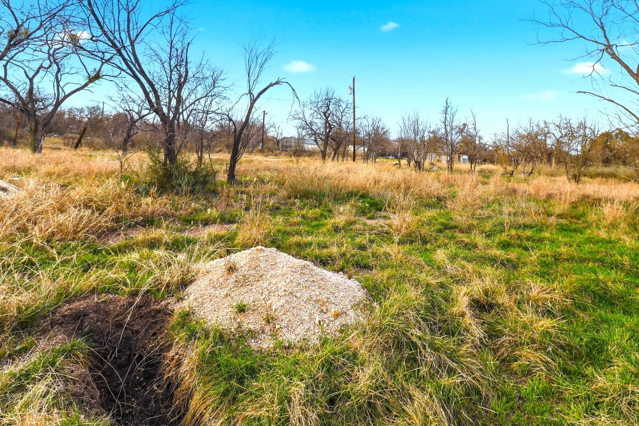1304 Shady Forest Drive Granite Shoals TX 78654