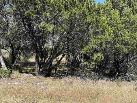 Lot K8007 Mountain Dew Horseshoe Bay TX 78657