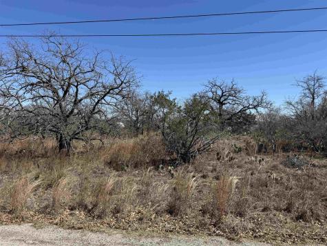 Lot 149 Woodlawn Drive Kingsland TX 78639