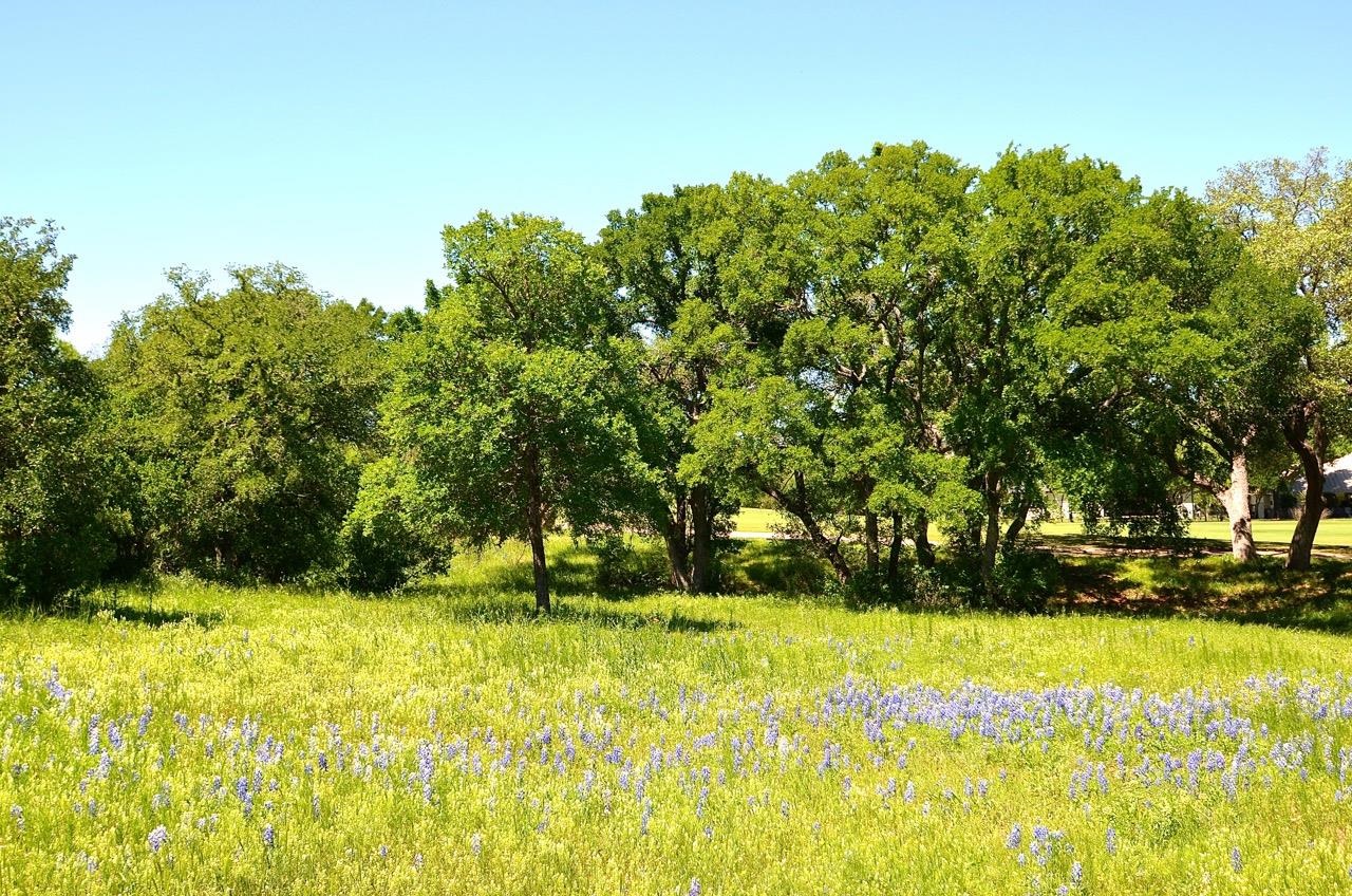 W18099 Moon Cloud Horseshoe Bay TX 78657