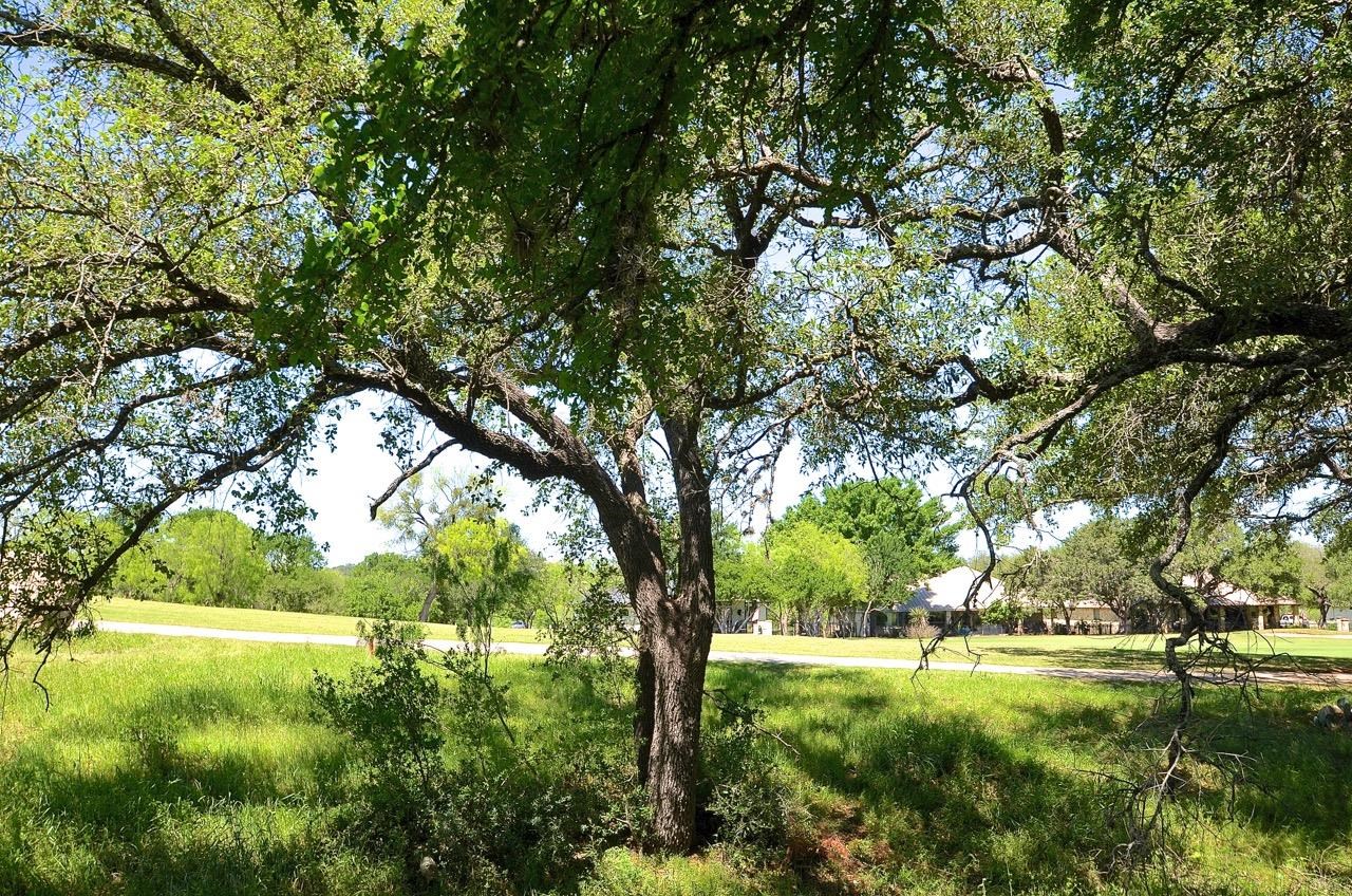 W18099 Moon Cloud Horseshoe Bay TX 78657