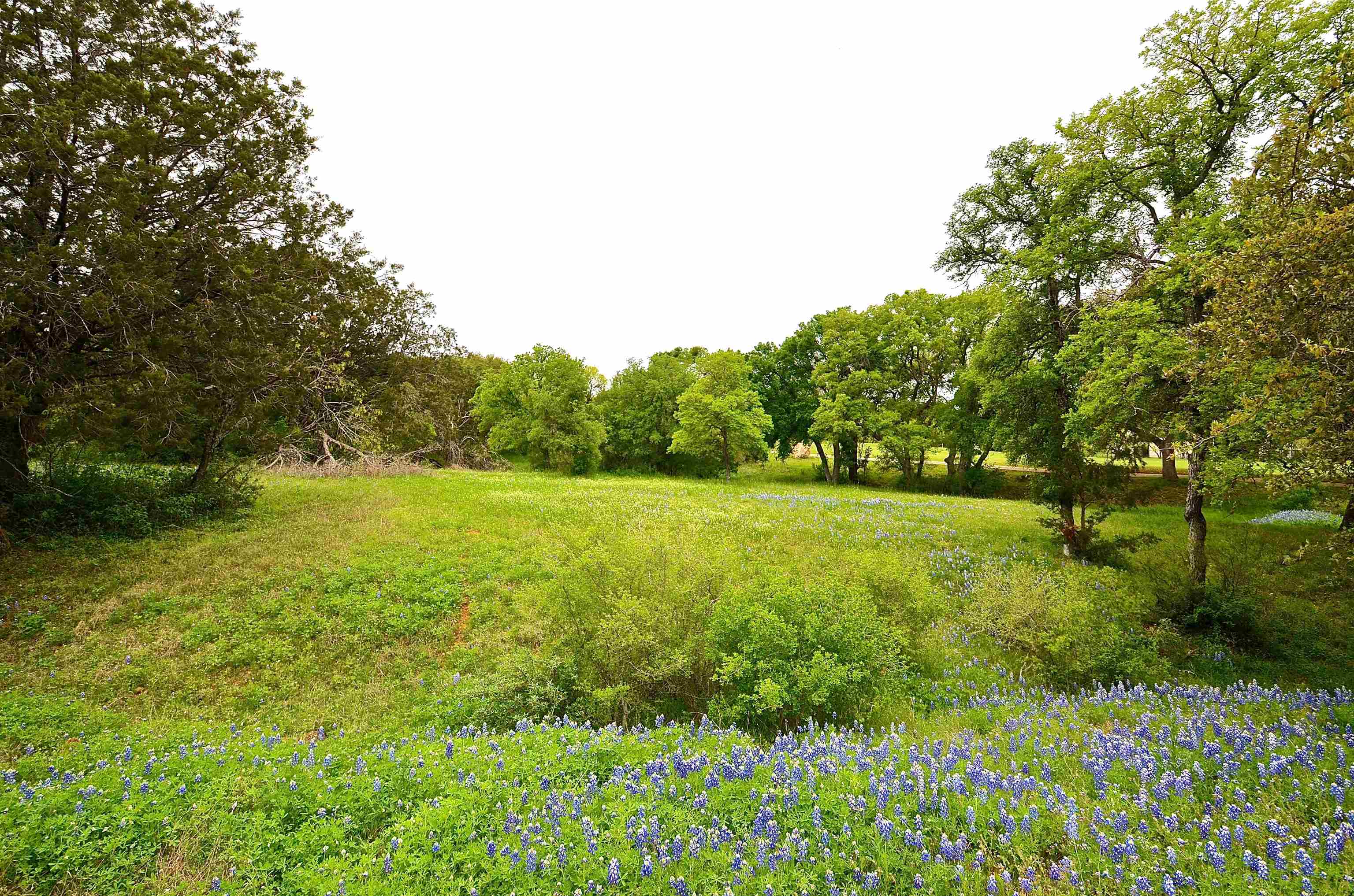 W18099 Moon Cloud Horseshoe Bay TX 78657