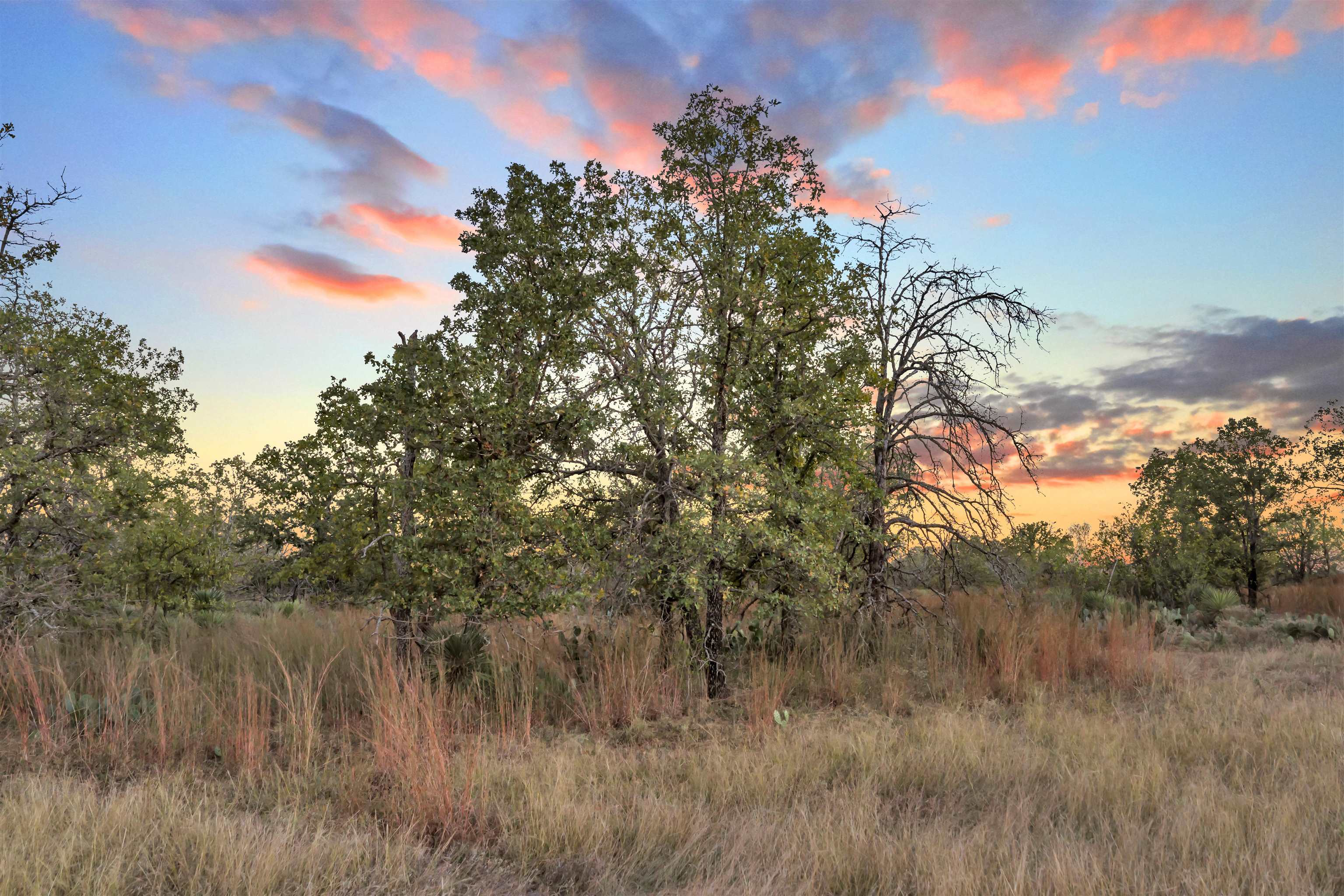 Lt 110 Quail Trail Marble Falls TX 78654